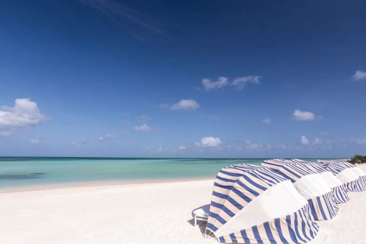 Beach chairs